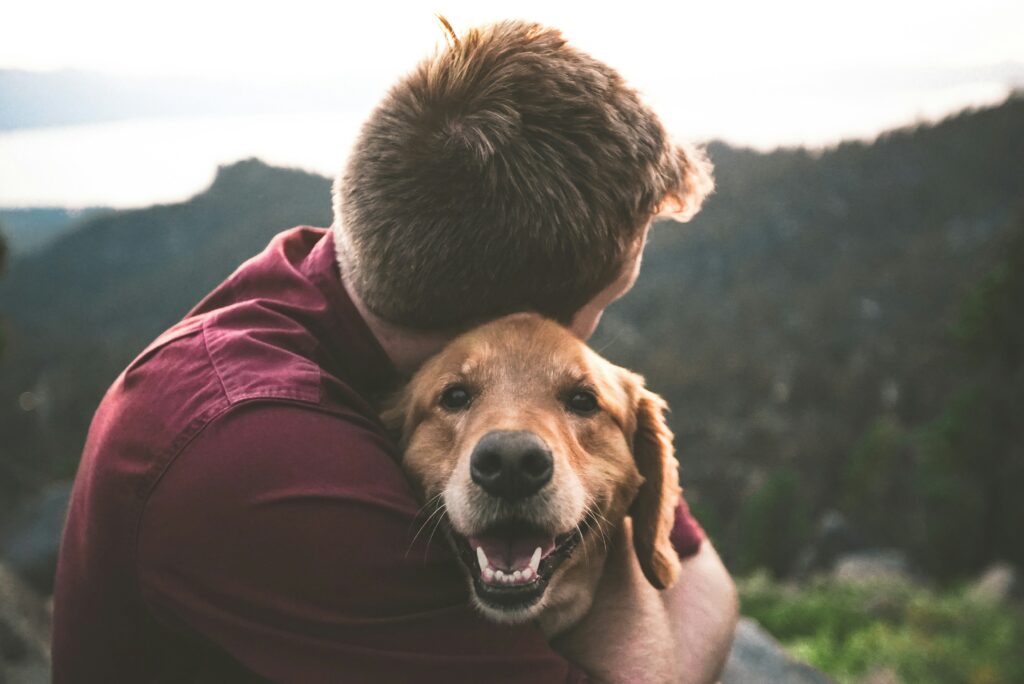 Un golden retriever et son maître