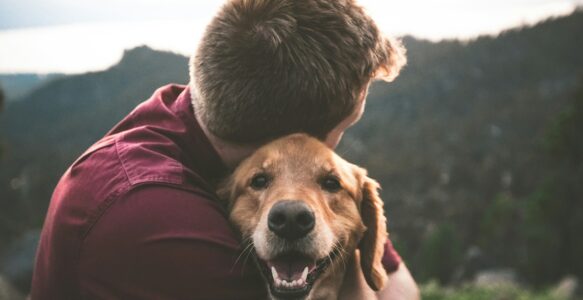 Pourquoi votre chien n’écoute pas (et les 5 erreurs que vous faites sans le savoir)